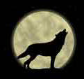 wolf howl at moon