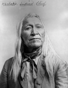 Chief Washakie