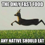 deer as fast food